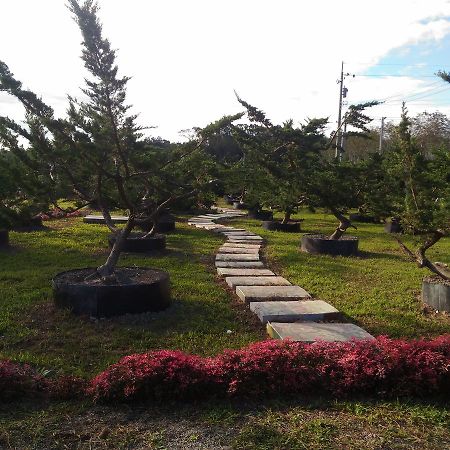 Du Du Hao B&B Luje Kültér fotó